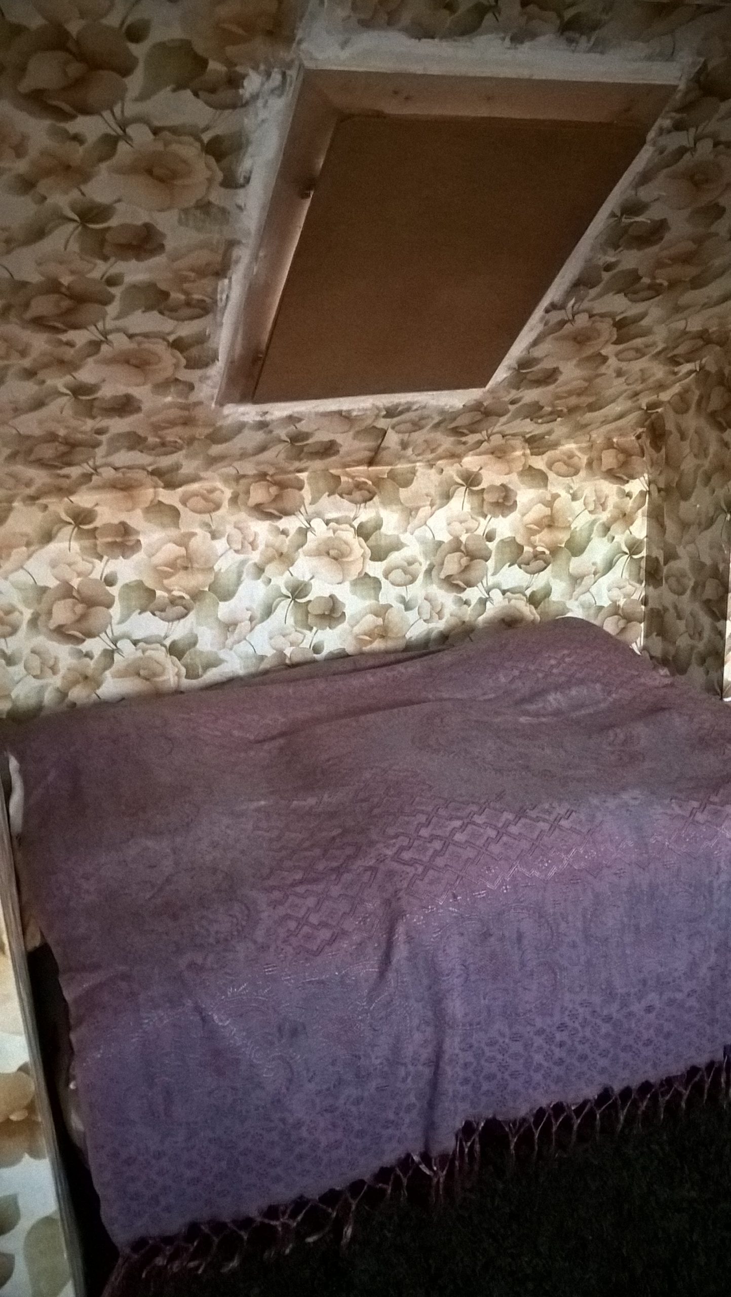 WP_20160317_18_40_48_Pro