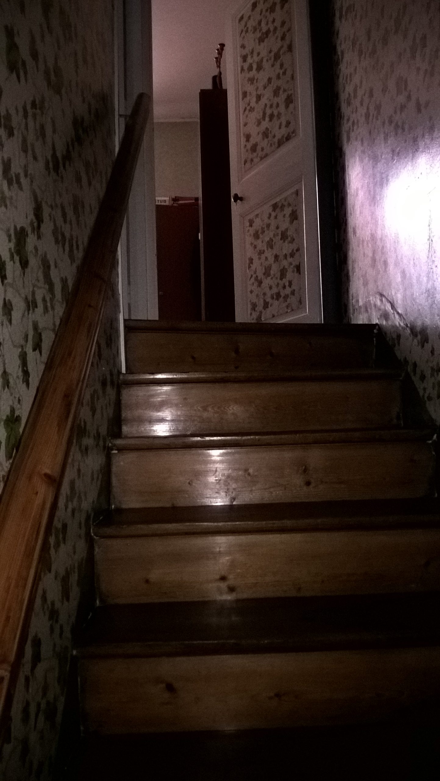 WP_20160317_18_42_17_Pro